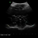 센트럴동물병원 이미지