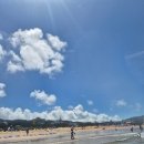 이마트24태안만리포점 | 태안여행 만리포해수욕장 첫 서핑강습/패들보드 이용요금 솔직후기