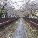 진해여자중학교 이미지