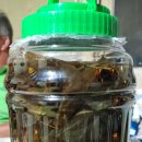 삼지목장 이미지