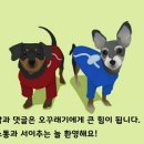 플라이비에플로리안 | [남양주] 플라이비 에 플로리안 카페를 다녀와서