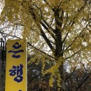 은행집 이미지