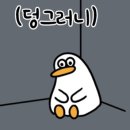 웅이네오돌뼈 이미지