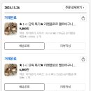 리뗀클로르 펠트바구니 핫딜 구매후기 | S, M, L사이즈 비교