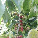 달이야기민박 이미지