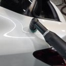 루스터 디테일링 이미지