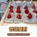 대전 대흥동 영춘모찌, 생활의달인 가성비 과일모찌 맛집 딸기모찌 2종류 후기