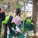 주현주농장 이미지