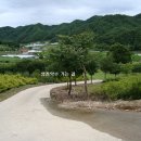 영천약수 이미지