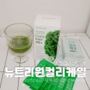 푸른건강녹즙 | 곱슬케일파우더 뉴트리원 컬리케일로 언제 어디서나 챙겨요