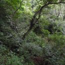 구산면578 이미지