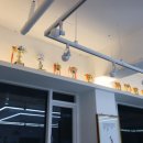 중국무술우슈쿵후도장 이미지