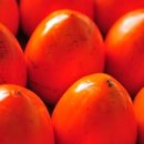 정가네농장 이미지