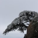 영은모텔 | 가을 명산 내장산, 단풍 명소부터 교통·코스 총정리