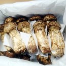 이보푸드 이미지