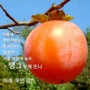 시(始)취미, 동(動)취미 이미지