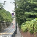 희망대공원길 | 성남 희망대공원 능소화 위치 동네주민 꿀팁｜개화시기 참고