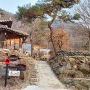 웅비농장 이미지