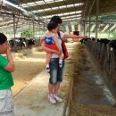 오룡목장 이미지