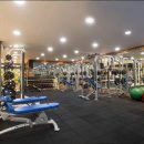 마크짐휘트니스 이미지