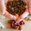 김호선한의원 이미지