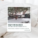 가자펜션 | [강원/영월] 영월캠핑장 영월가자펜션&amp;캠핑장 솔직후기