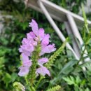 김찬우농장 이미지