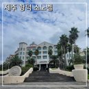 대명가든 | 제주 함덕 소노벨 클린형 타운 C 스탠다드뷰 트윈 구) 대명리조트 이용 후기
