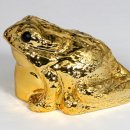 금두꺼비 이미지