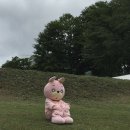 하나항맥외과의원 네이버블로그