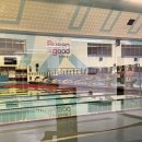 사직실내수영장 | ‘사직실내수영장’ 재개장 방문후기_개선포인트_저녁자유수영 세부사항 안내