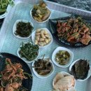 신창민박 티스토리