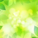 봄요양병원 이미지