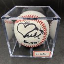 2019 한국시리즈 시구자 이미지