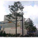 중흥 C2 맞은편 이미지