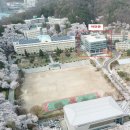 북일고등학교 이미지