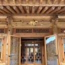 운암애견 이미지