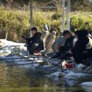 암반수낚시터 이미지