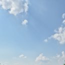 모나크cc 이미지