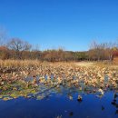 깨끗한 사람들 이미지