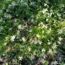 정모시공원 이미지