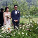 앤의정원 이미지