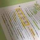 생생 기초 영문법 이미지