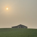 봄 인디, 보러와유 이미지