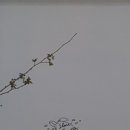 더슬로우 이미지