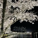 지에스25(GS25)탄방시티점 이미지