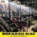 파리바게뜨운남 이미지