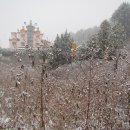 토파즈모텔 이미지