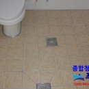 더푸른환경 네이버블로그