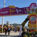 마산가고파 국화축제장 이미지